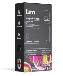 TURN DISPOSABLE | Dragon Fruit Açaí (i-hybrid) – 1G Pod