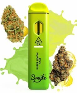 smyle disposable