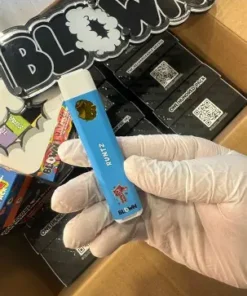 Blown disposable