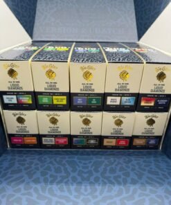 Big Chief DOU V2 Disposable