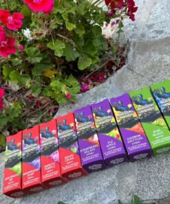 BISHOP BOYZ 1G Disposables