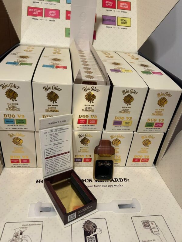 BIG CHIEF v3 2g disposable