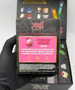 Minaj 2G Disposable