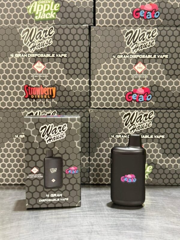 Warehause 4G Disposable