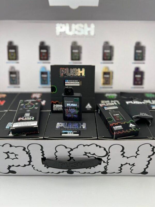 PUSH DUO 2G DISPOSABLES