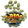 G-RIDE by Jungle Boys