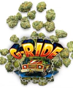G-RIDE by Jungle Boys