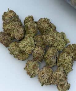 Hash Burger Cannabis Strain