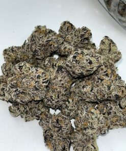Coochie Runtz Strain